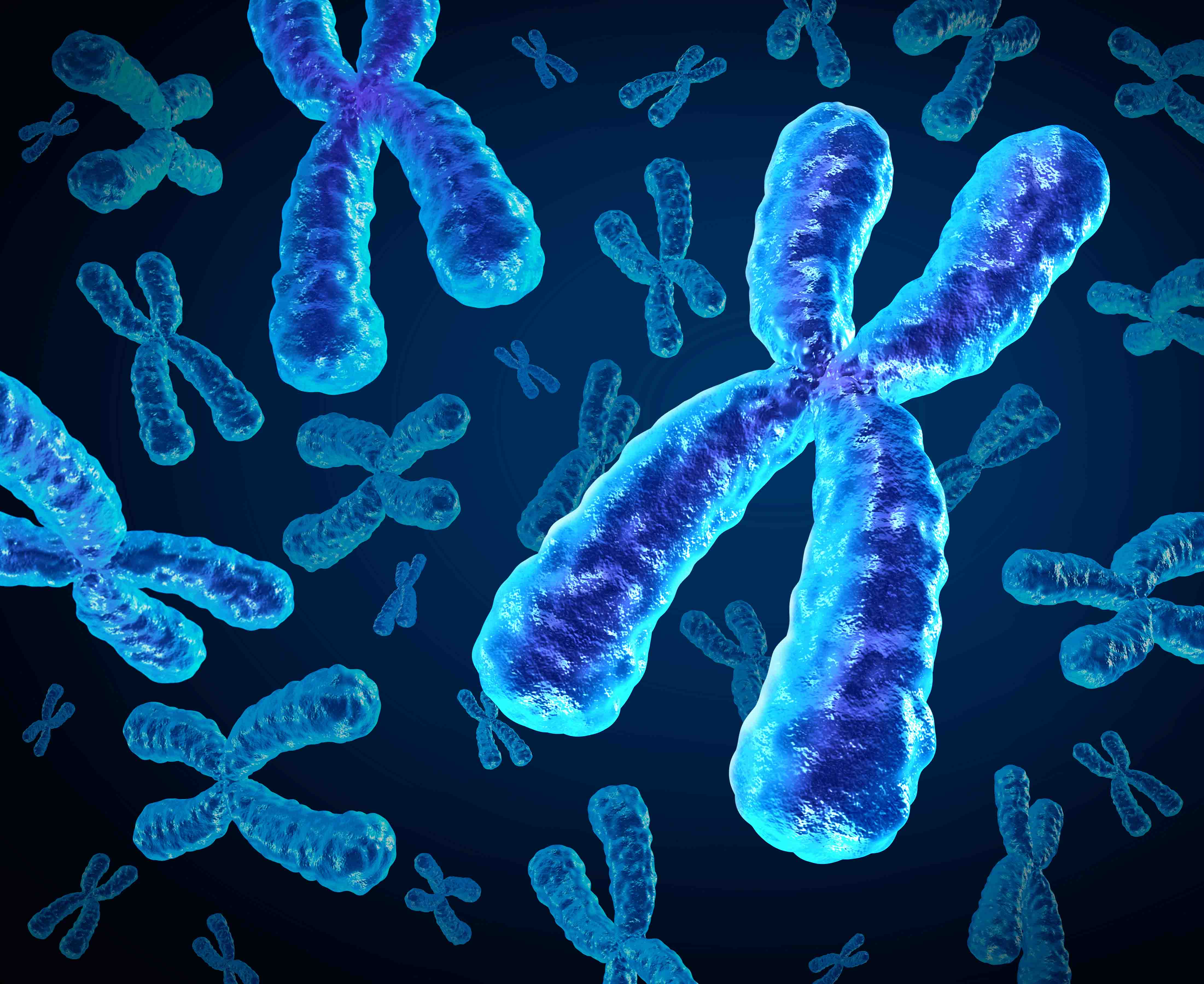 xy染色体作为人类生物学概念中的医学符号插画图片素材_ID:135074846-Veer图库